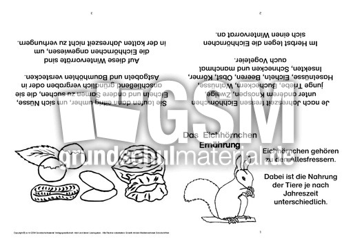 Eichhörnchen-Faltbuch-Ernährung.pdf